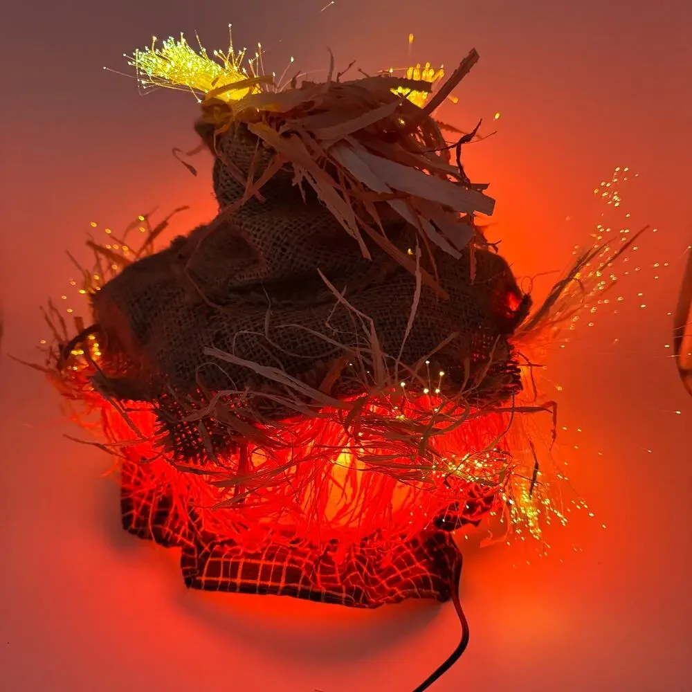Pumpkin Hollow Fiber Optic Scarecrow Halloween Decor 11